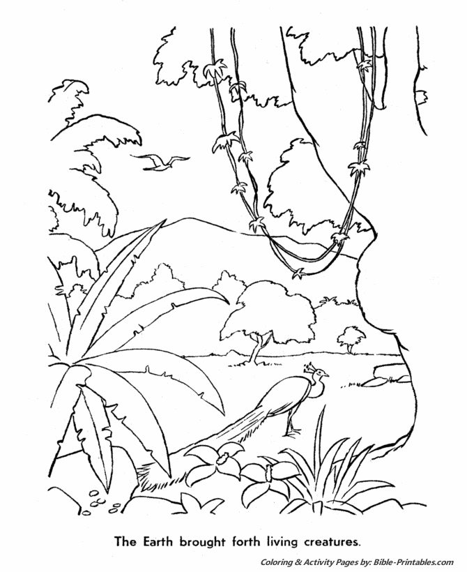 Bible Printables - Creation Coloring Pages - Bible Creation Day 6 
