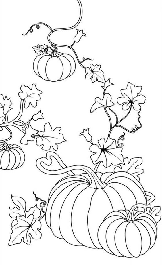Pumpkins, : Pumpkins Coloring Page | To Color | Pinterest ...