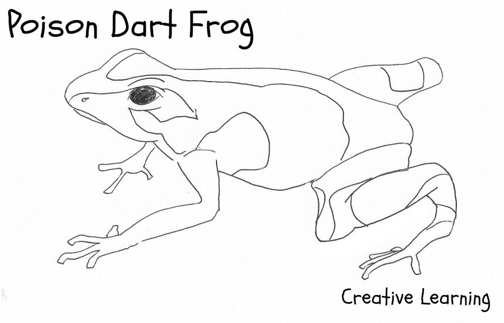 Poison Dart Frog Coloring Pages - Colorine.net | #10505