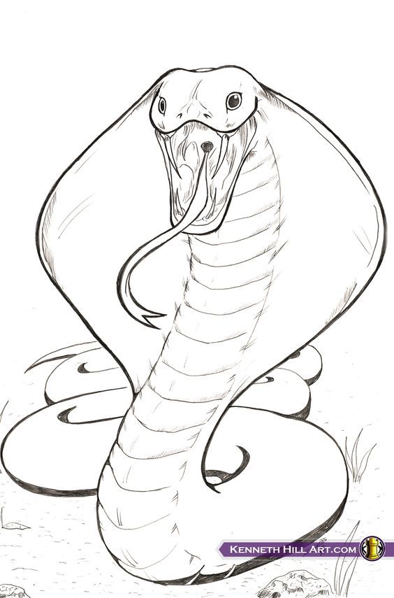 King Cobra Coloring Pages | Free Coloring Pages | Pinterest | King ...