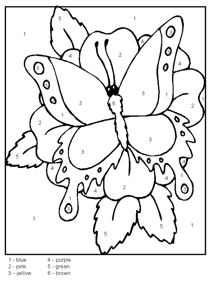 color-by-number-butterfly-coloring-home