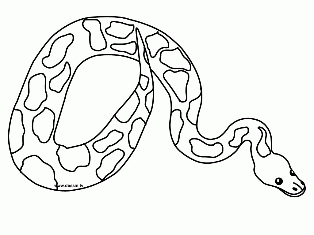 Snake Colouring Pages Free Printable - High Quality Coloring Pages