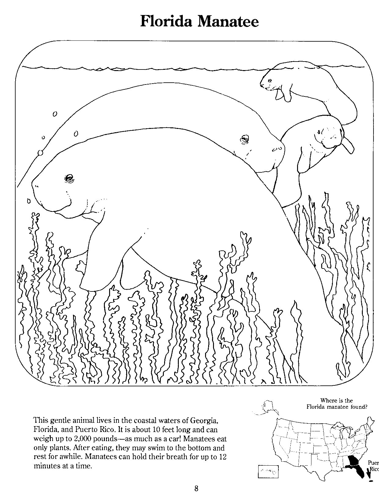 File:Manatee page from coloring book.gif - Wikimedia Commons
