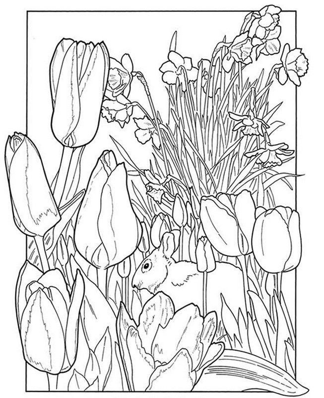 Adult Coloring Pages Spring