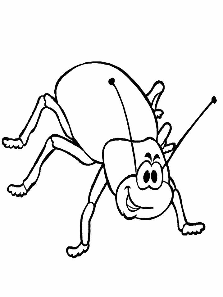 Beetle Animals Coloring Pages coloring page & book for kids.
