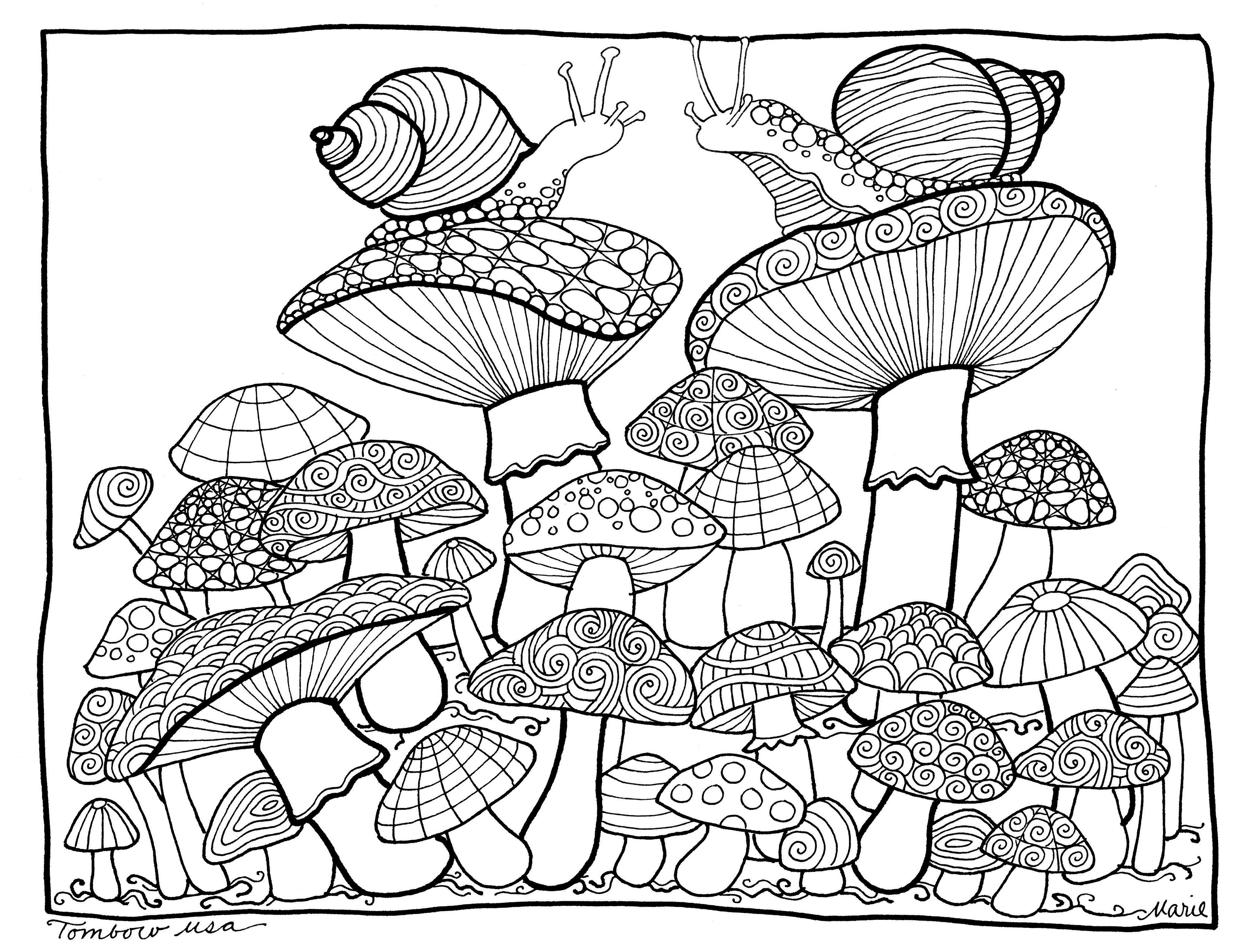 Mushrooms Coloring Page By Tombow USA   Adult Coloring Pages ...