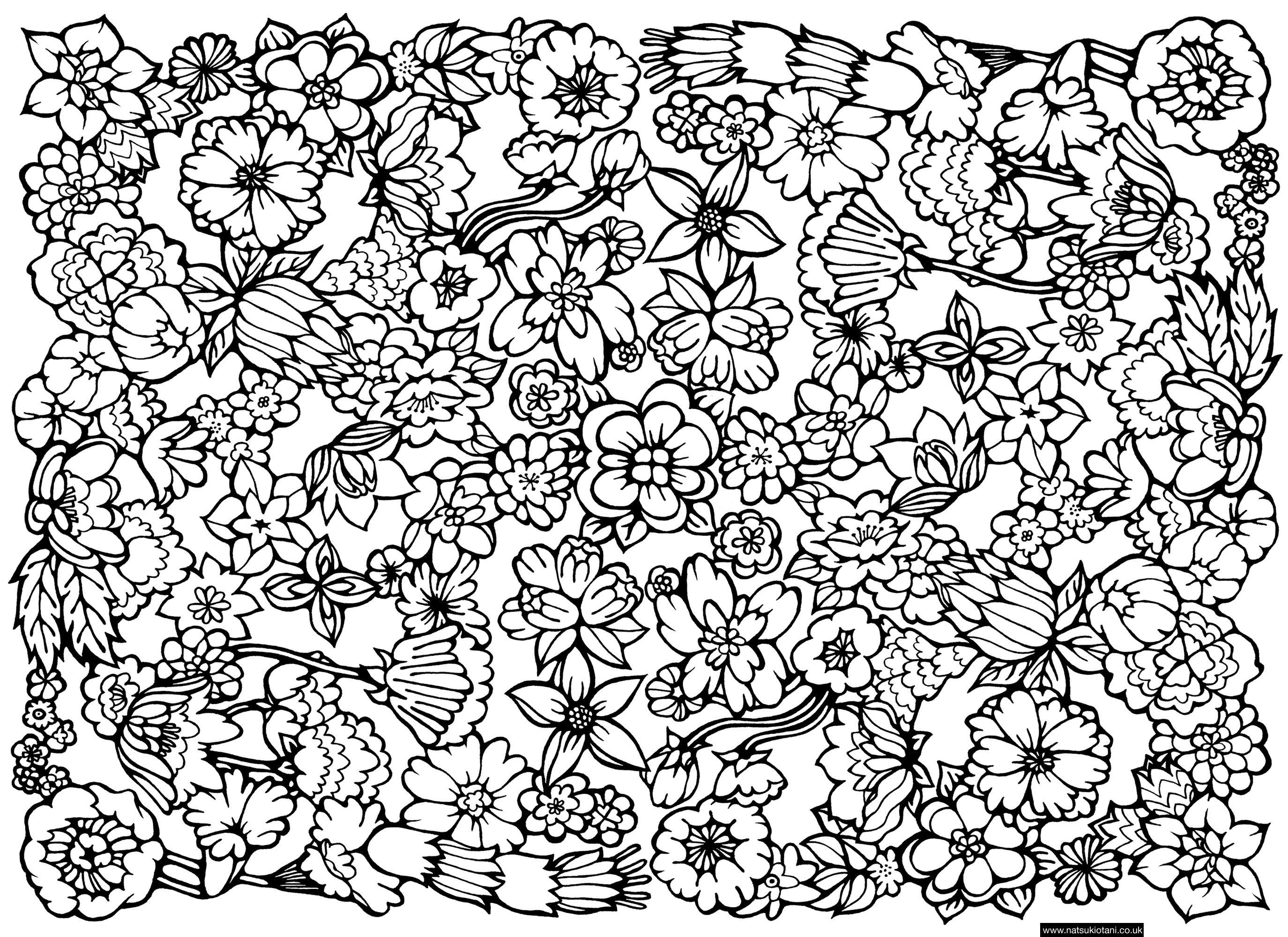 hard-flowers-coloring-pages-coloring-home