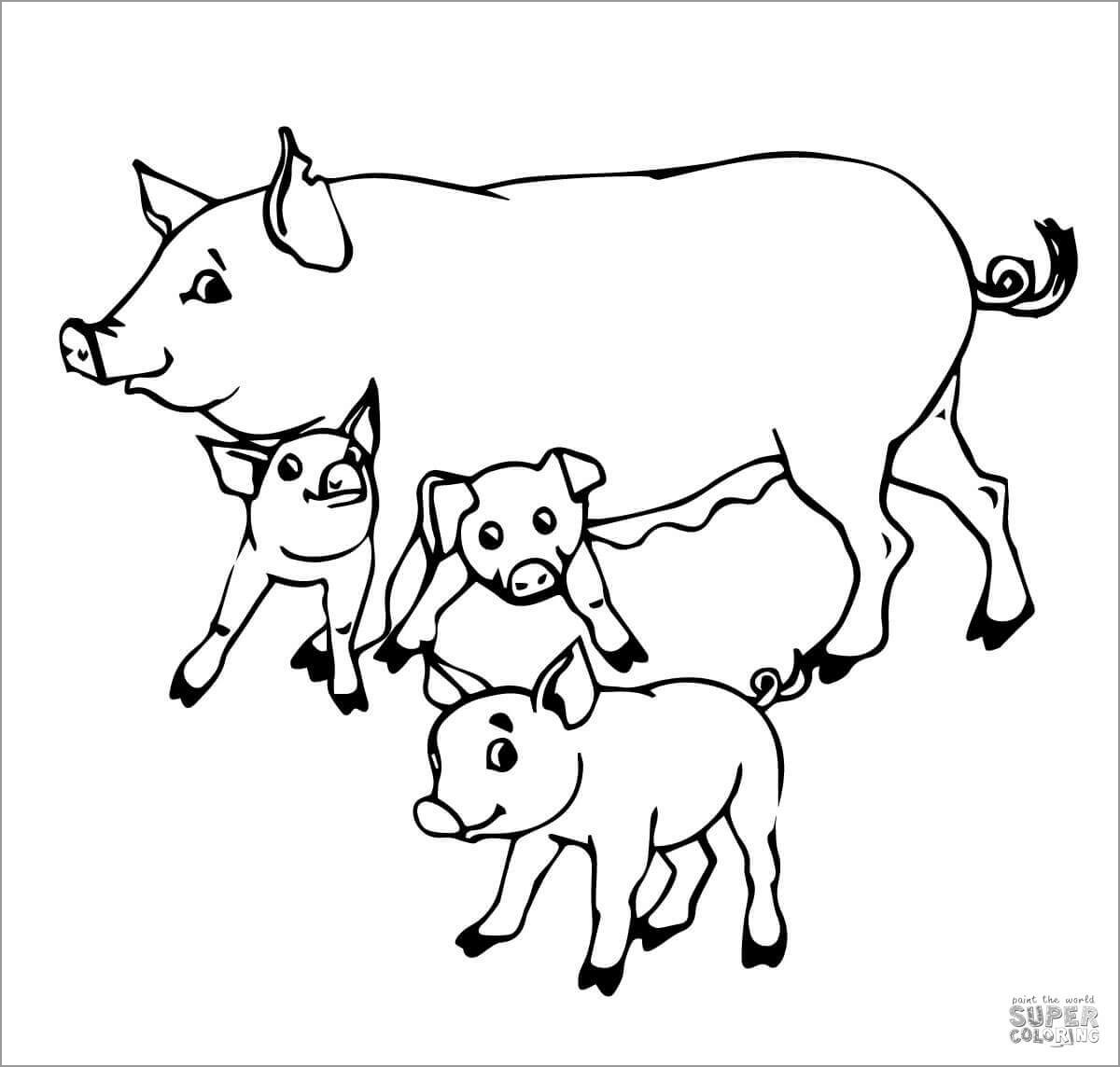 Pig Family Mother And Baby Pigs Coloring Page   ColoringBay ...