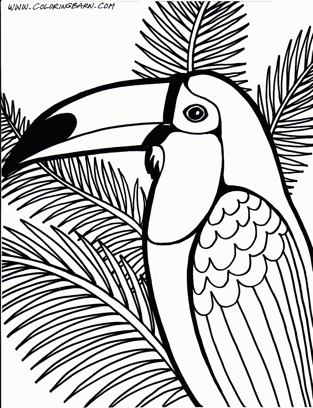 Tropical Bird Coloring Pages - High Quality Coloring Pages