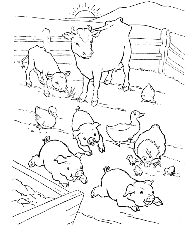 Barn-yard Pigs Coloring Pages | Printable Farm Animal Coloring 