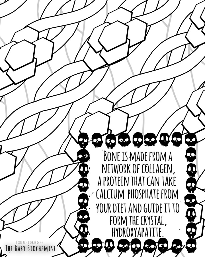 Free Halloween Science Coloring Pages! – Brave the Elements
