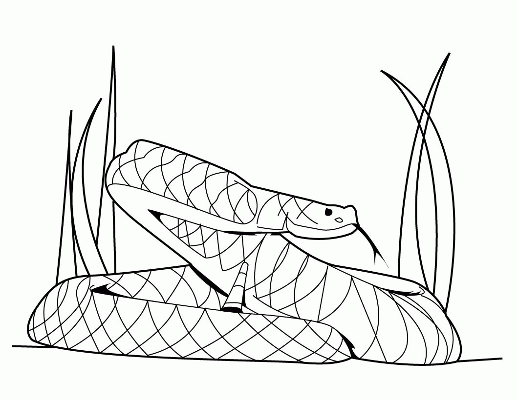 Python coloring pages download and print for free