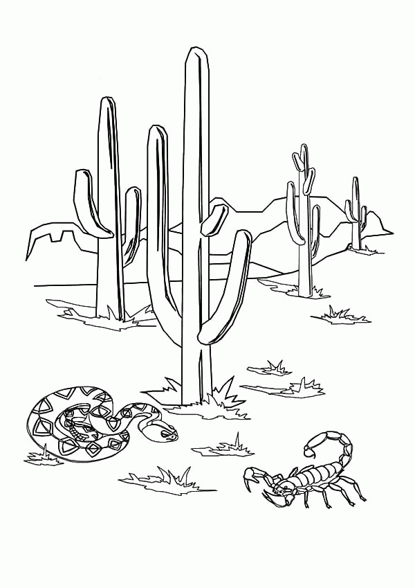 Download Cactus Snake And Scorpion Coloring Pages | Best Place To Color - Coloring Home