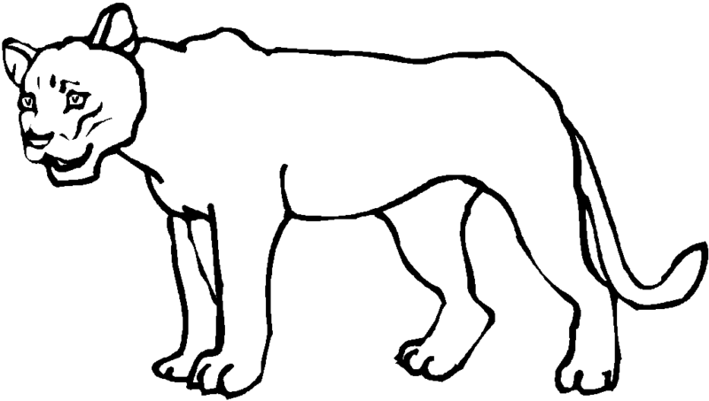 Download Lioness Coloring Page | Coloring Wizards