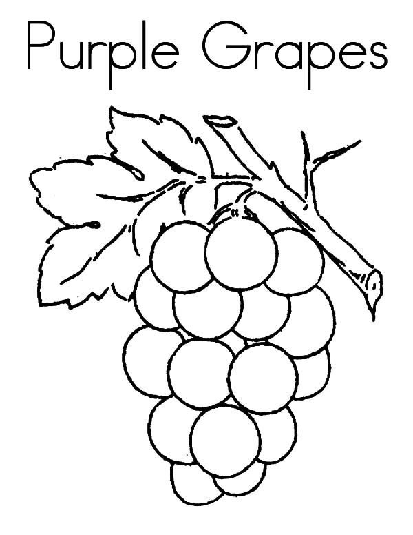 Grape Coloring Pages - Coloring Home