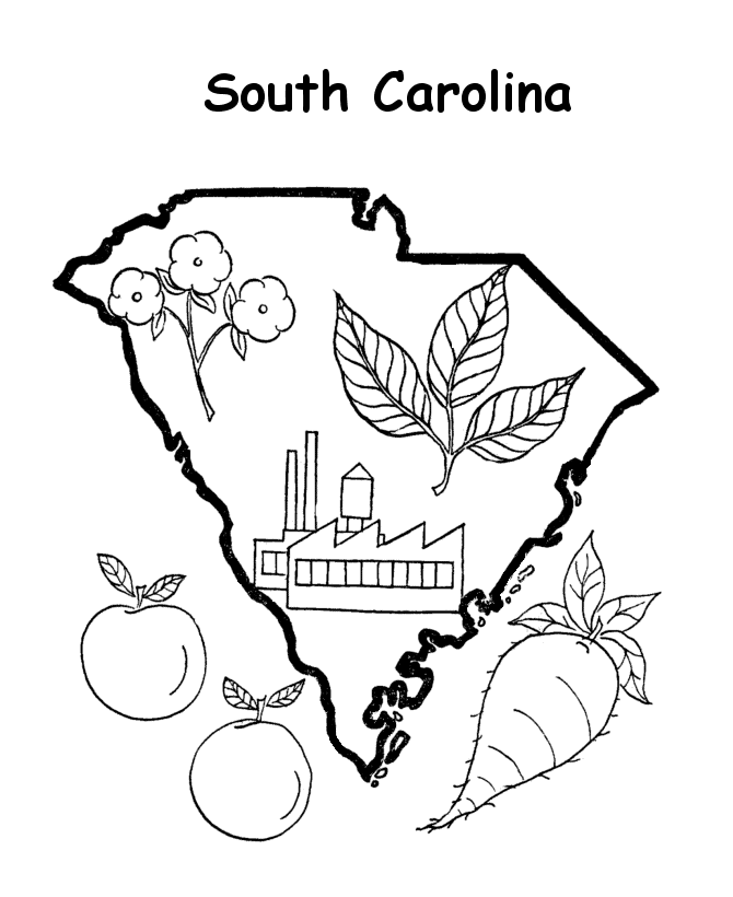 State outline shape and demographic map - State of South Carolina Coloring  Pages | Coloring pages, Flag coloring pages, Coloring pages for kids