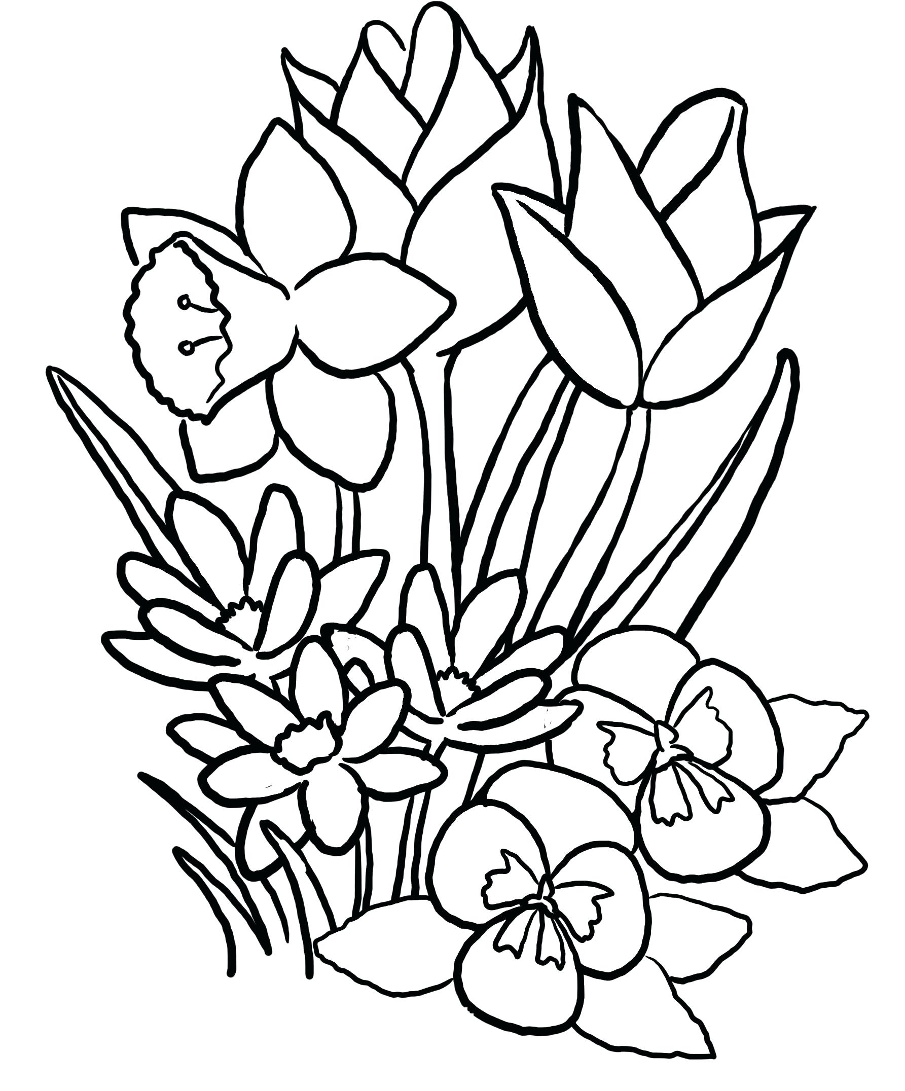 24 Most Divine Collection Realistic Flower Coloring Pages ...