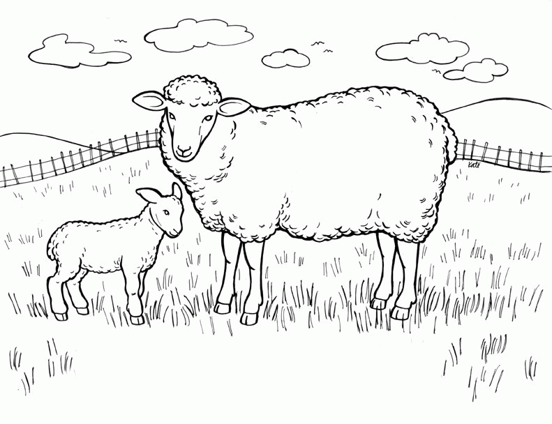 Free Printable Sheep Coloring Pages For Kids | Coloring ...