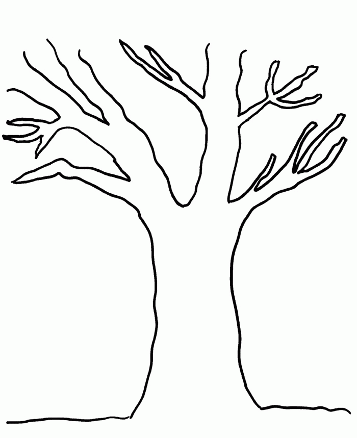 Trees Without Leaves - Coloring Pages for Kids and for Adults