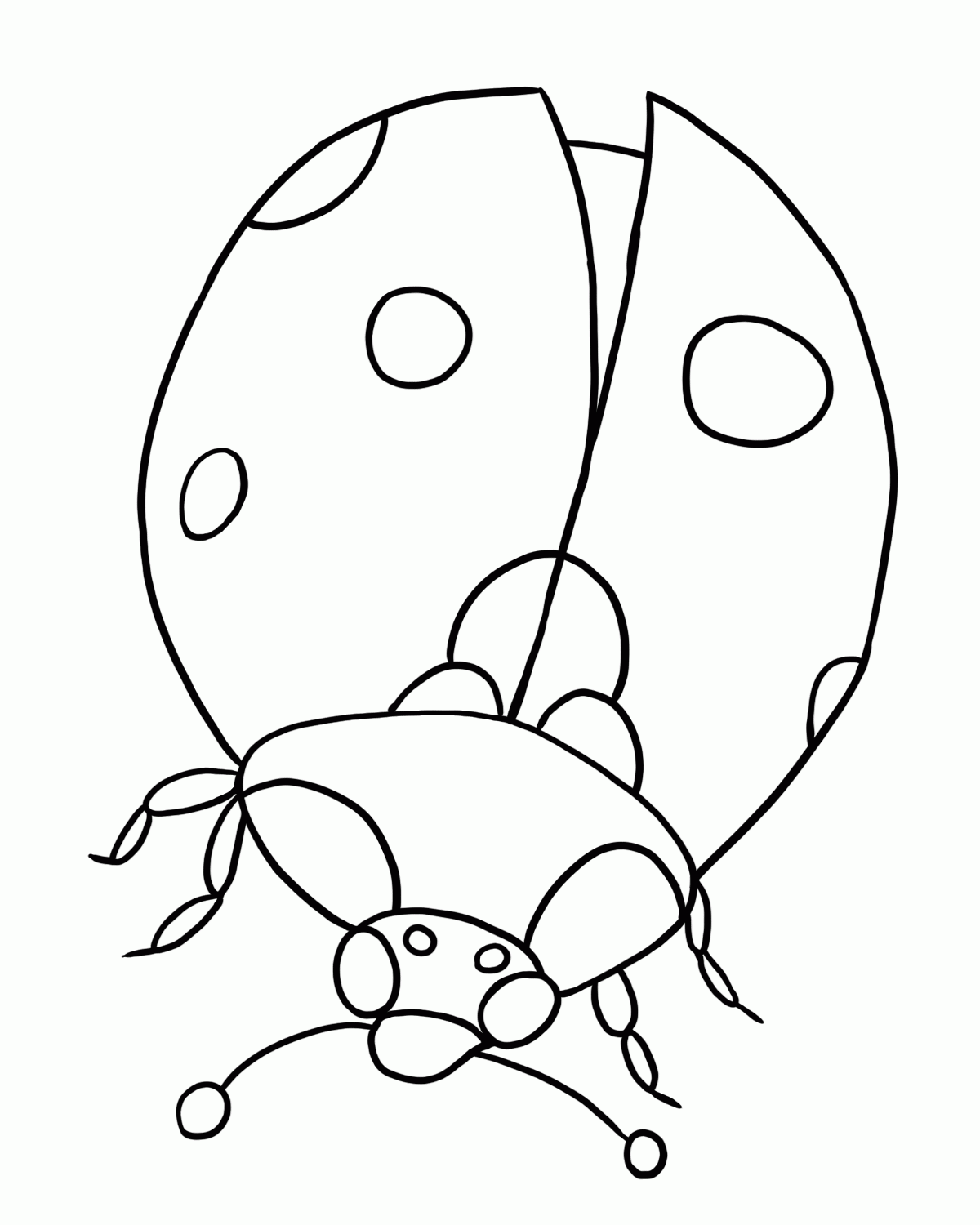 Printable Ladybug Coloring Pages | Coloring Me