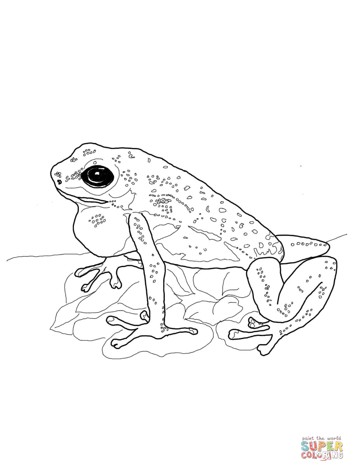 Poison Dart Frog Coloring Page