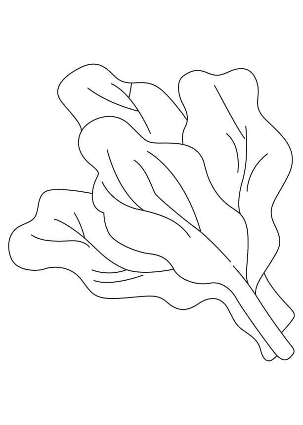 Coloring pages: Spinach, printable for kids & adults, free to download