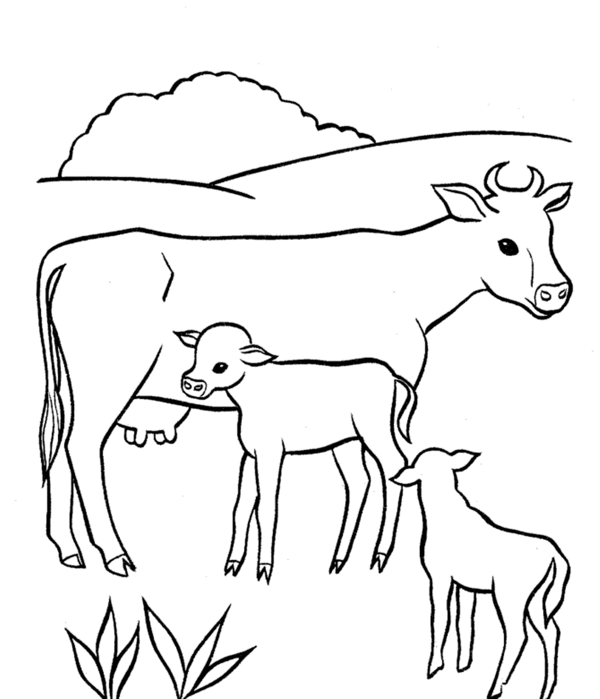 C Cow Coloring Pages - Coloring Home