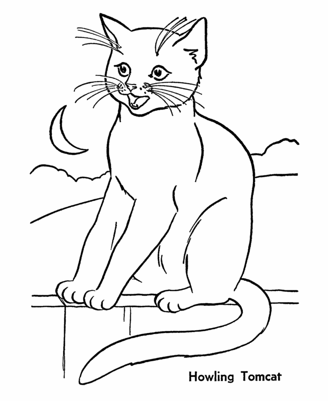 Download Princess Cat Coloring Page - Coloring Home