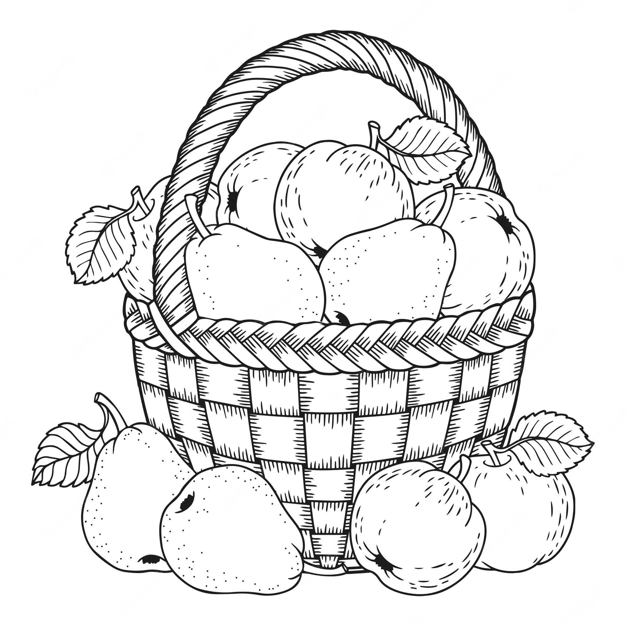 Premium Vector | Coloring page for adults. black and white background  silhouette. harvest of ripe apples and pears in a basket. thanksgiving day.
