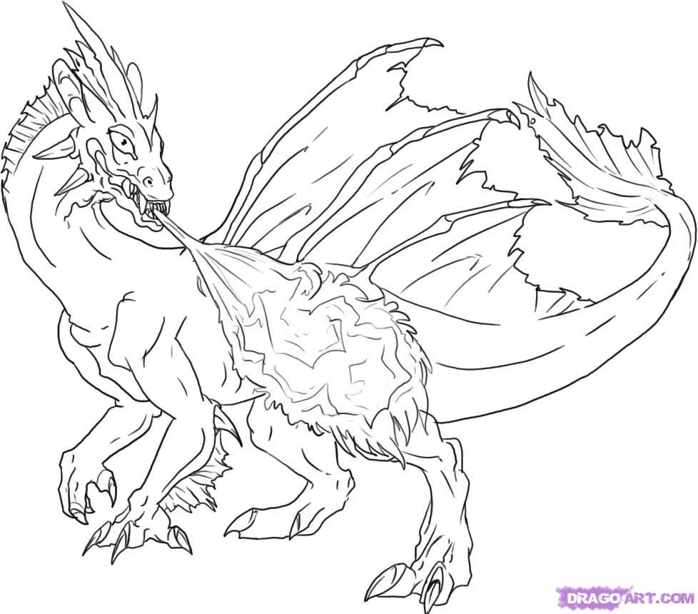 Free Fire Breathing Dragon Coloring Pages, Download Free Clip Art, Free  Clip Art on Clipart Library