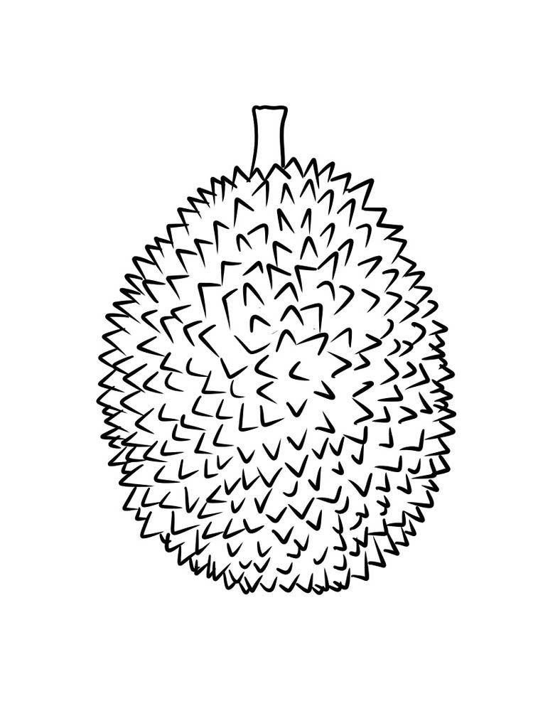durian picture for coloring free | Colorful pictures, Color free, Plant coloring  pages