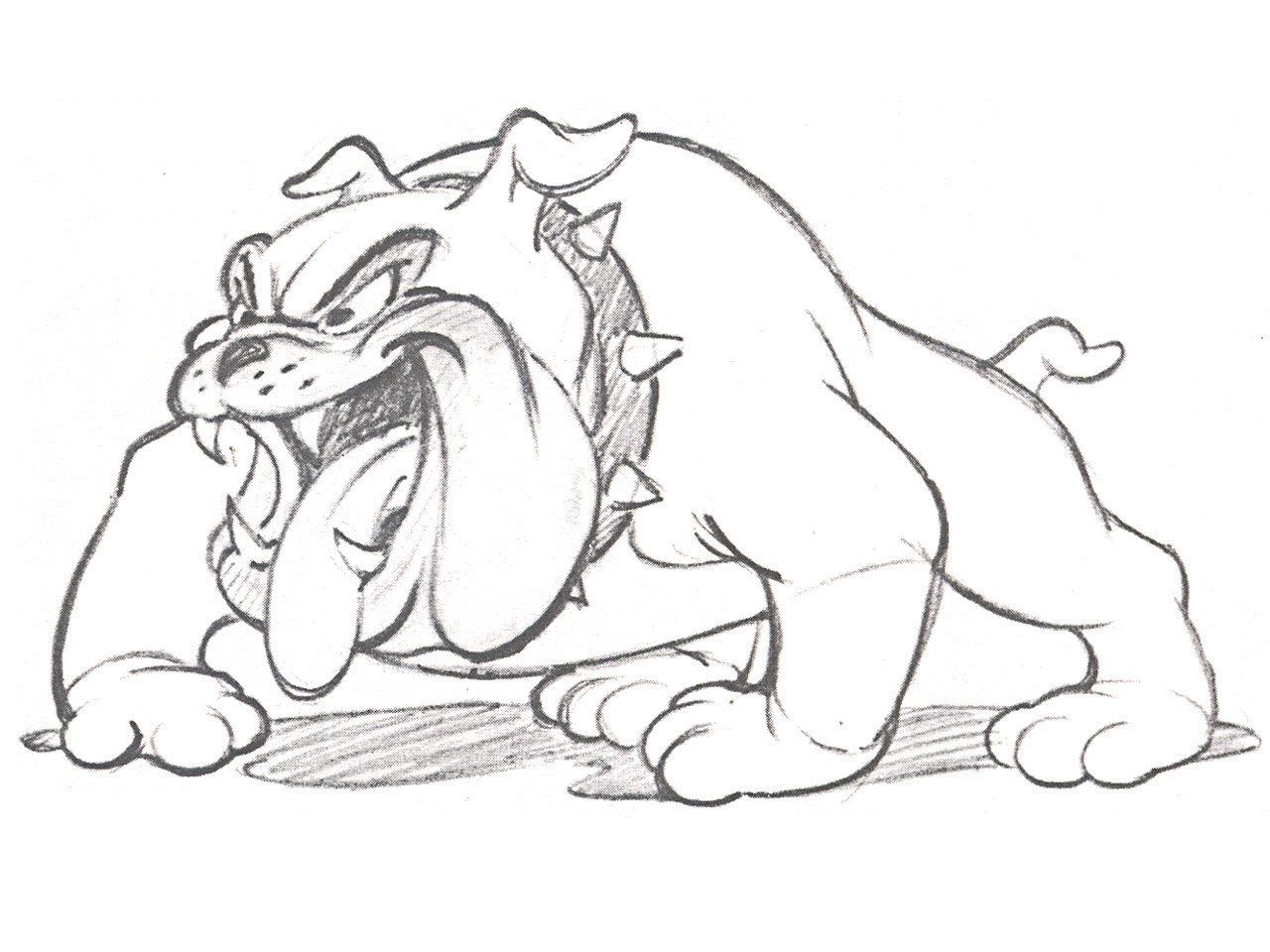 Bulldog Coloring Pictures - Coloring Pages for Kids and for Adults