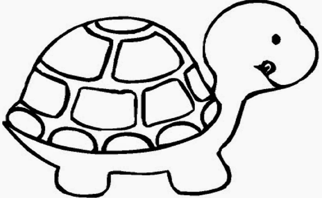 Turtle Coloring Sheet | Free Coloring Sheet