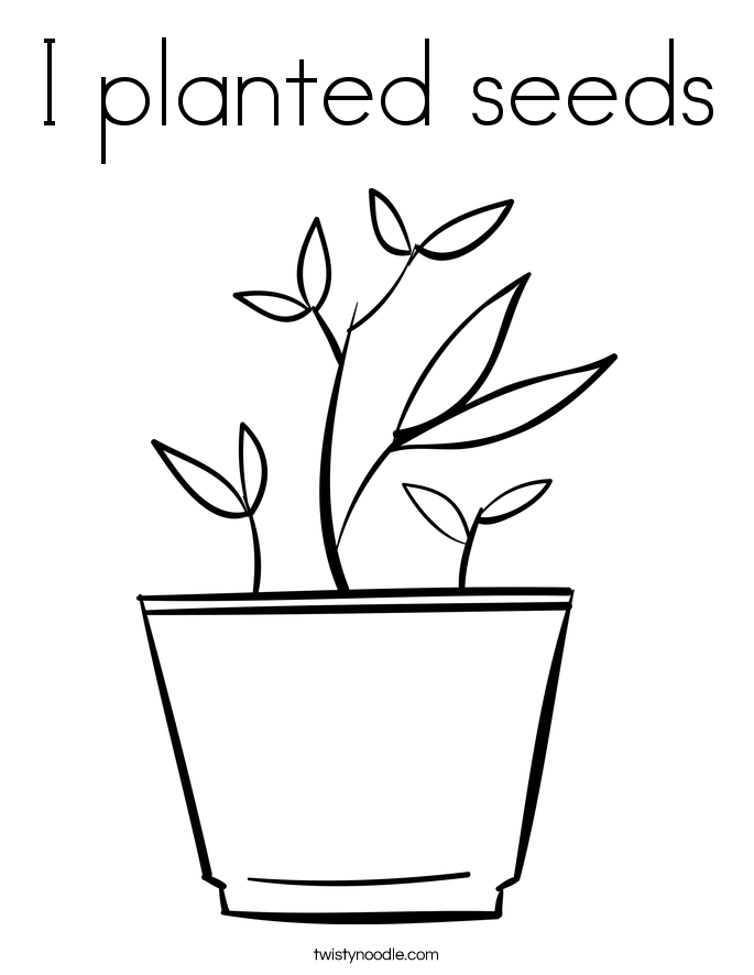 I planted seeds Coloring Page - Twisty Noodle