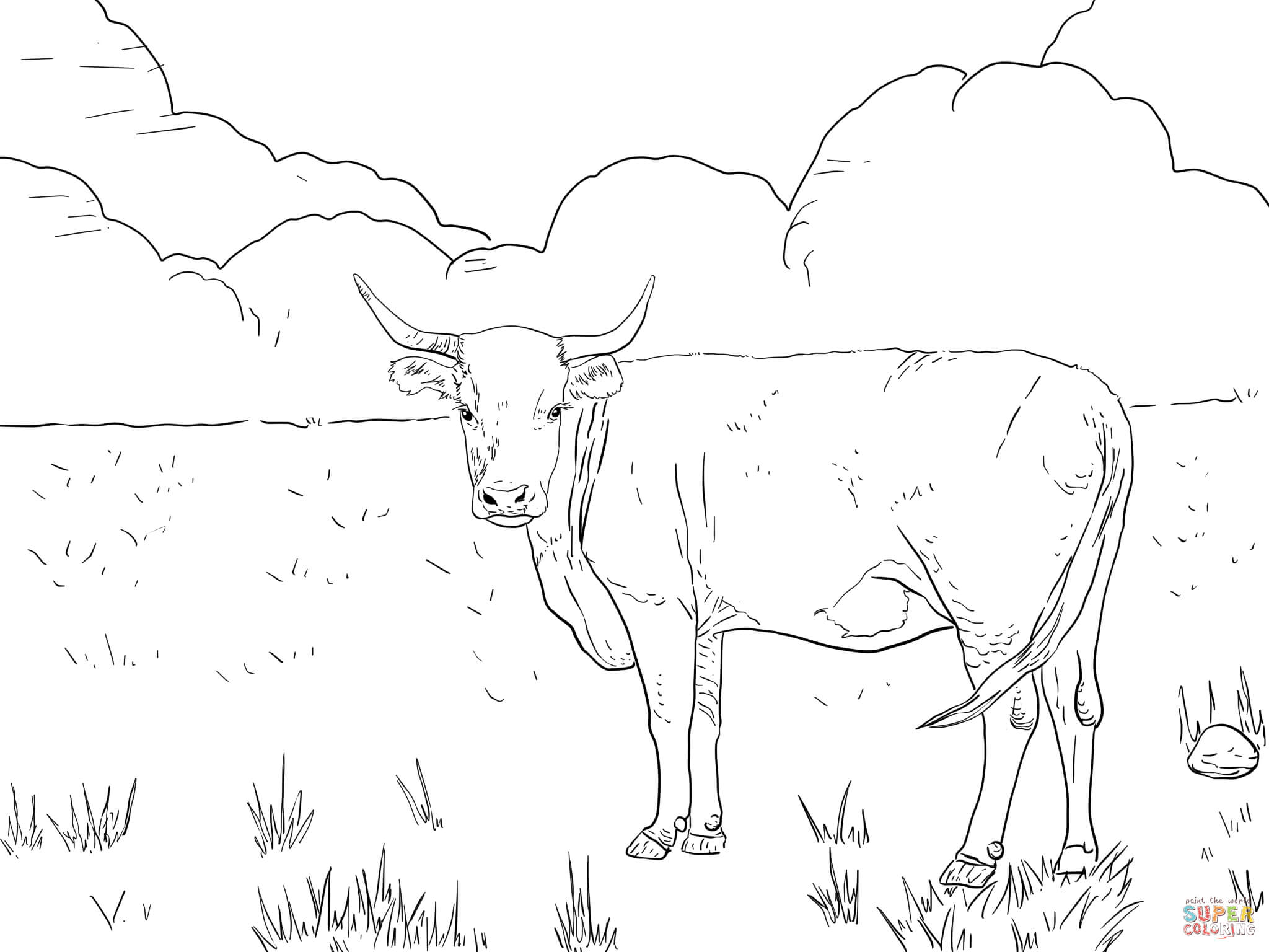 Cattle coloring pages | Free Coloring Pages