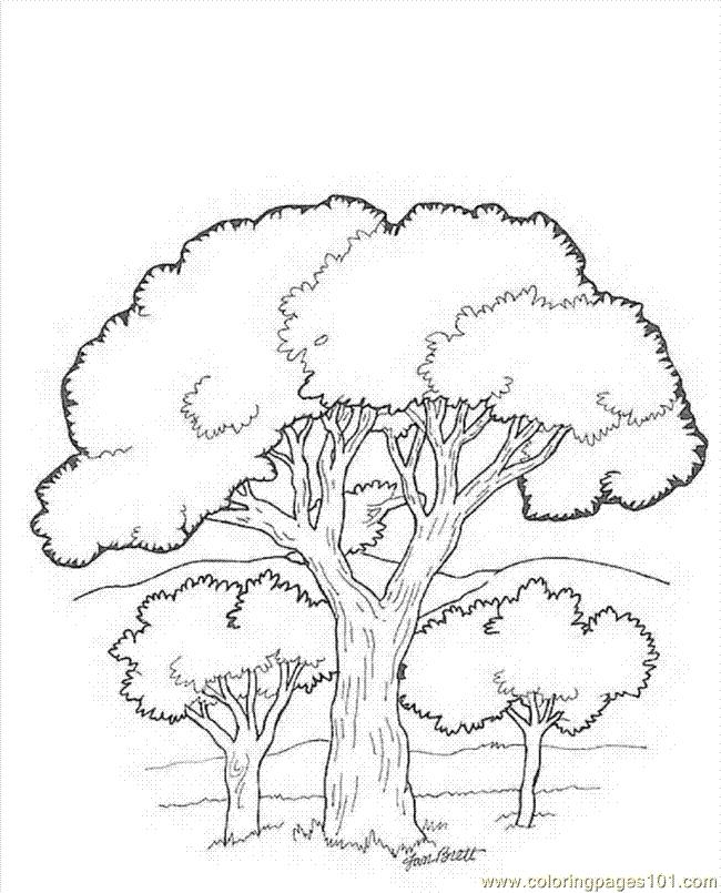 Printable Coloring Pages Trees And Leaves – Susanrearick Preschool