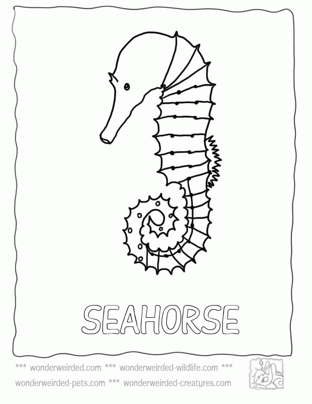 Free Coloring Pages Ocean Plants