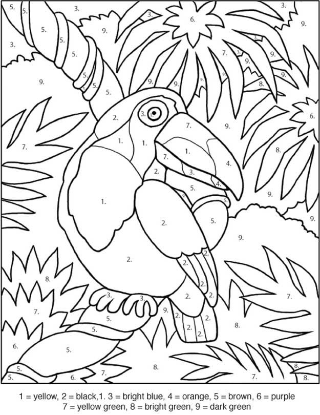 toucan coloring by numbers - games the sun | games site flash 