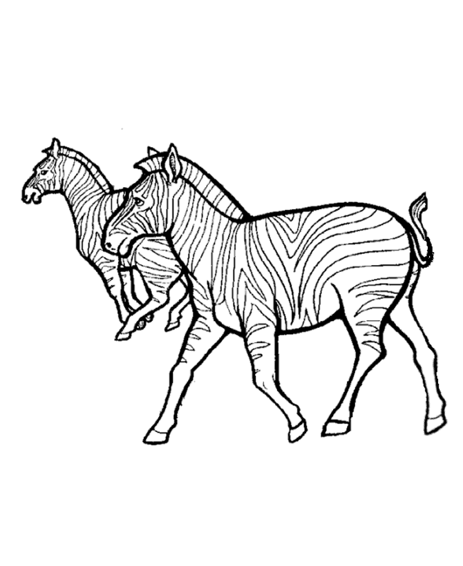 African Animals Coloring Pages | Free coloring pages