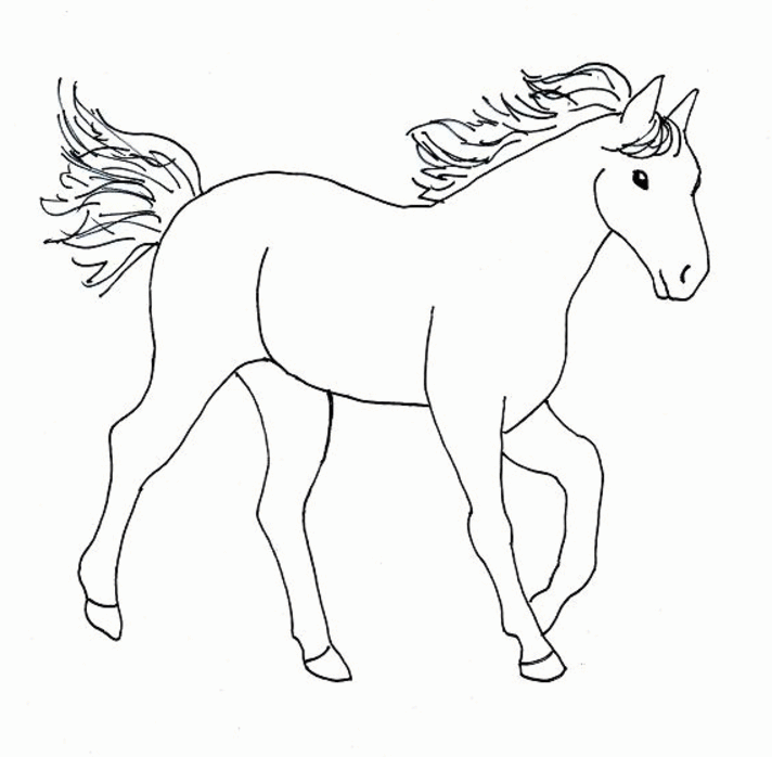 colorwithfun.com - horse