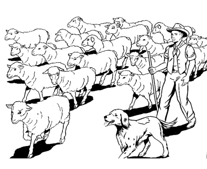 Farm Work and Chores Coloring Pages | Herding the sheep Coloring 