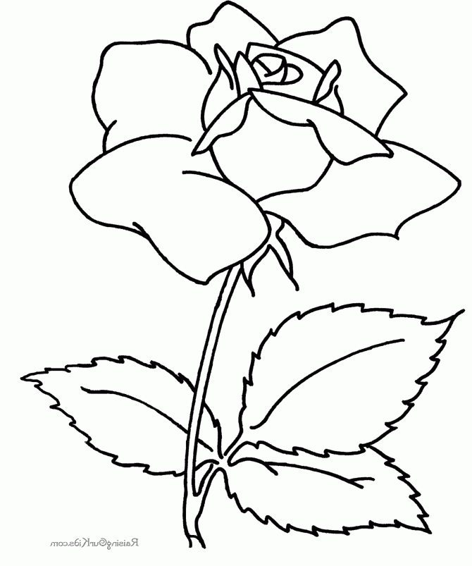Two-Roses-Beautiful-And-Unique-coloring pages of roses | COLORING WS