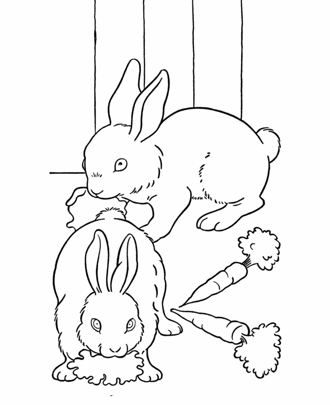This Easter Bunny Coloring Page Shows A Cute Bunny With A Carrot 