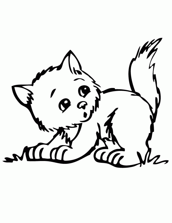 Cute Kitty Coloring Pages - Coloring Home