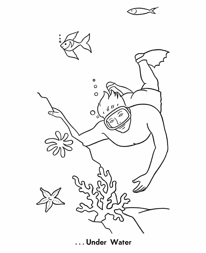 seashell coloring pages more beach scene sheets we also have 