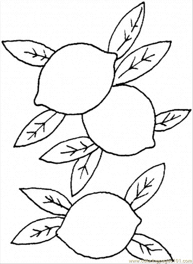 Coloring Pages Lemon 1 (Food & Fruits > Lemons and Limes) - free 