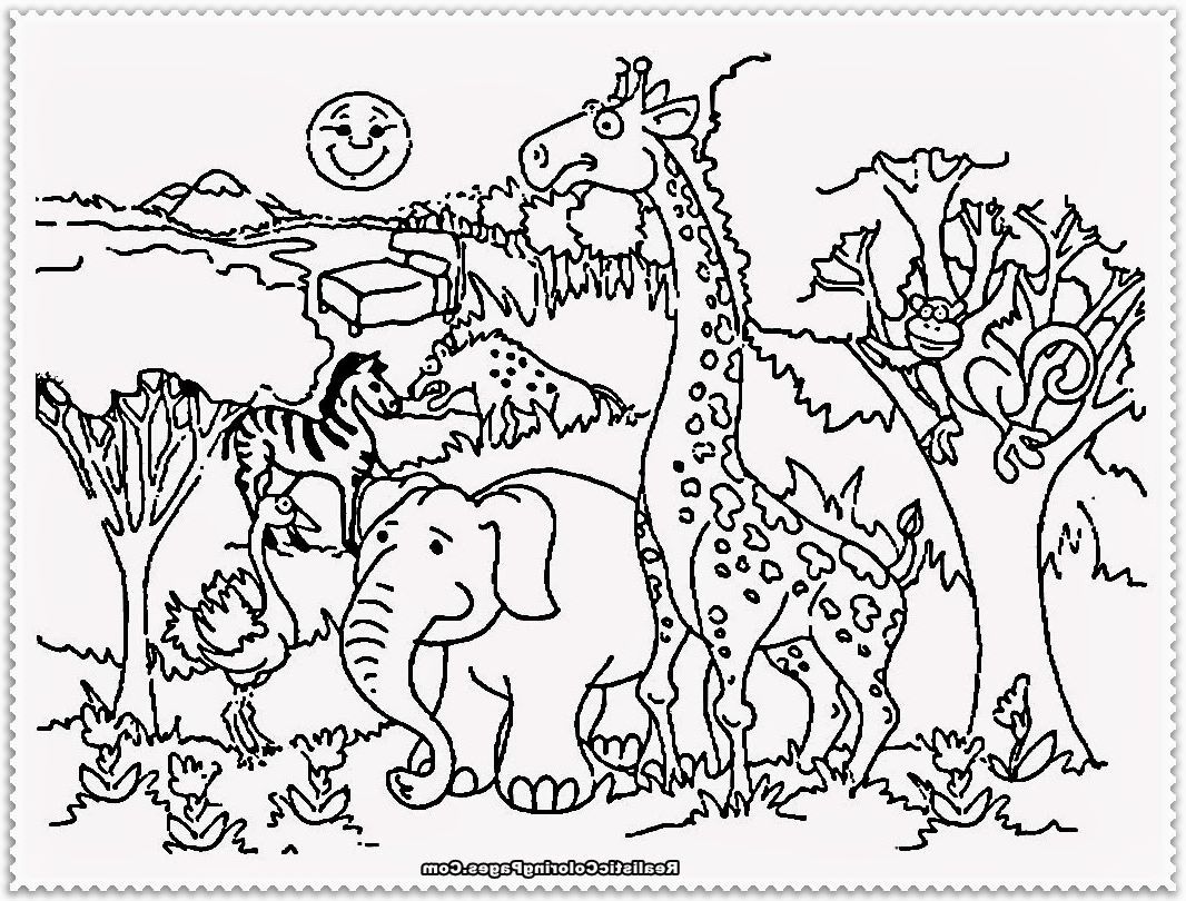 Zoo Themed Coloring Pages - Coloring Page Kidz