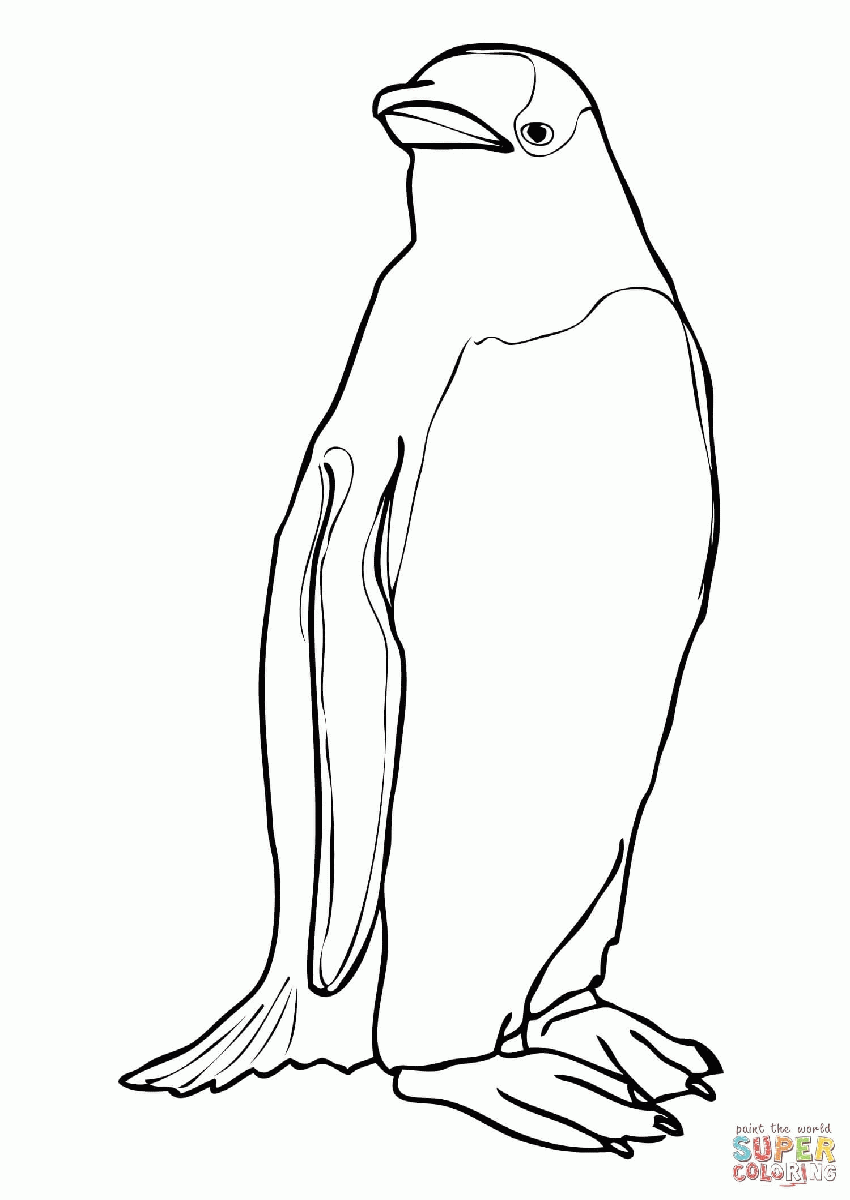 Adelie Penguin Coloring Pages | Best Coloring Page Site