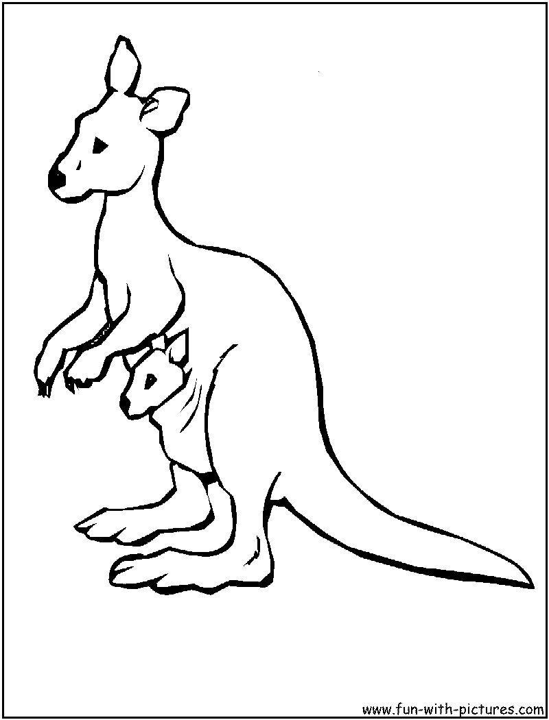 Cartoon Kangaroo Coloring Pages - High Quality Coloring Pages