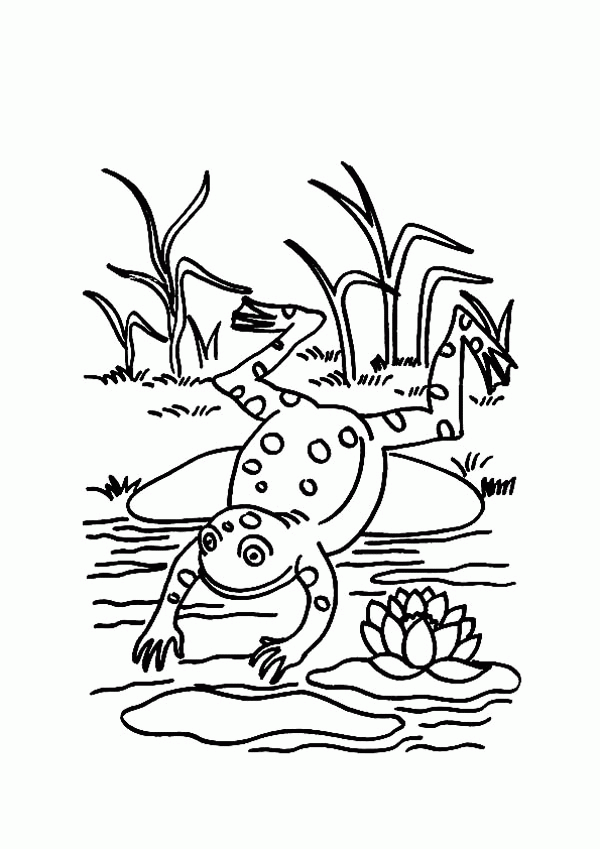 8 Pics of Frog Pond Coloring Page - Coloring Page Pond Life ...